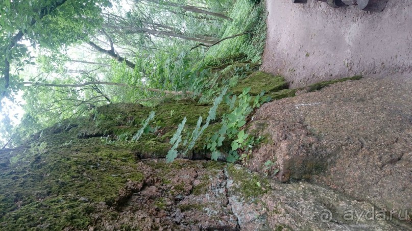 Корсунь-Шевченковский. Дворец и парк последнего принца Речи Посполитой.