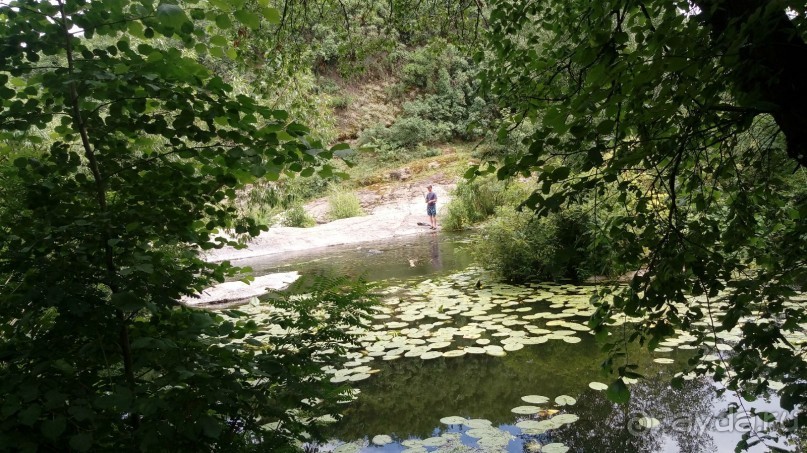 Корсунь-Шевченковский. Дворец и парк последнего принца Речи Посполитой.