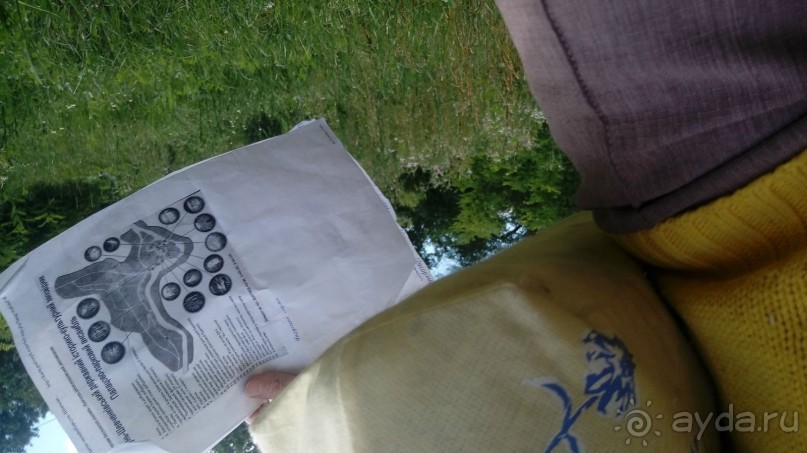 Корсунь-Шевченковский. Дворец и парк последнего принца Речи Посполитой.