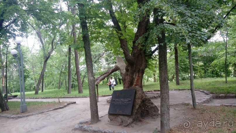 Корсунь-Шевченковский. Дворец и парк последнего принца Речи Посполитой.