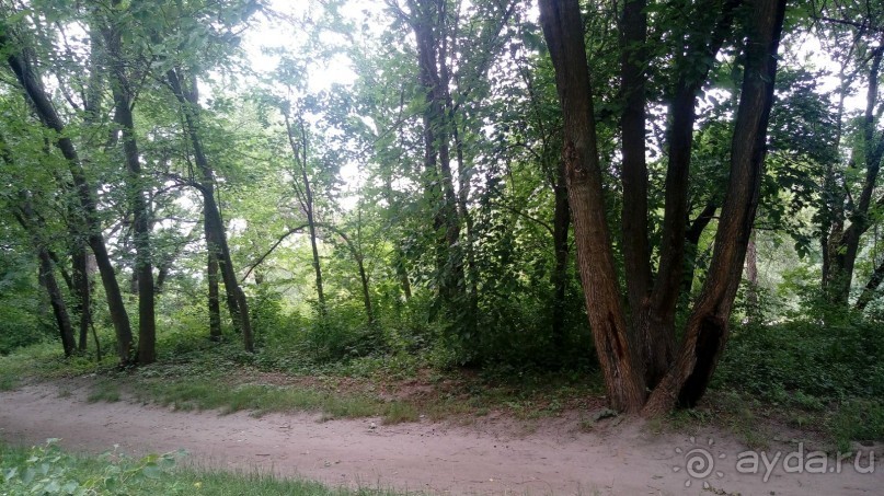 Корсунь-Шевченковский. Дворец и парк последнего принца Речи Посполитой.