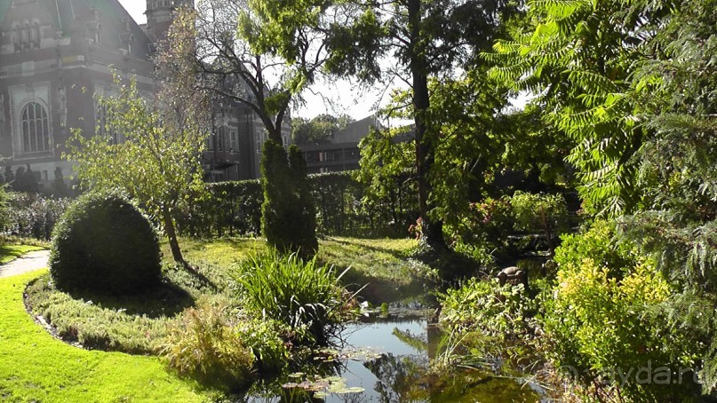 Гаага, Бельгия. «Гулять, так гулять!». Русский флер Гааги.