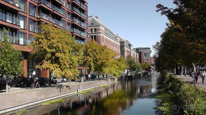 Гаага, Бельгия. «Гулять, так гулять!». Русский флер Гааги.