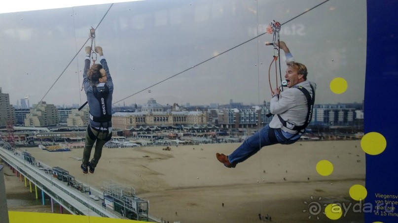 Гаага, Бельгия. «Гулять, так гулять!». Русский флер Гааги.