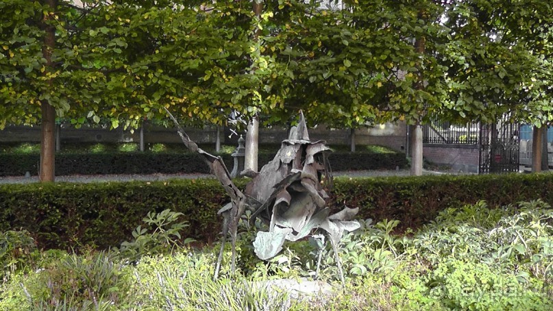 Гаага, Бельгия. «Гулять, так гулять!». Русский флер Гааги.