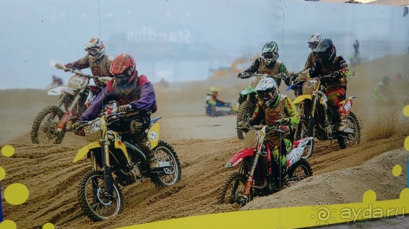 Гаага, Бельгия. «Гулять, так гулять!». Русский флер Гааги.