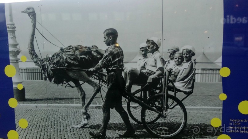 Гаага, Бельгия. «Гулять, так гулять!». Русский флер Гааги.