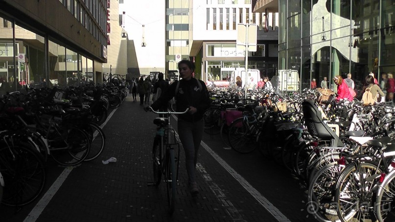 Гаага, Бельгия. «Гулять, так гулять!». Русский флер Гааги.