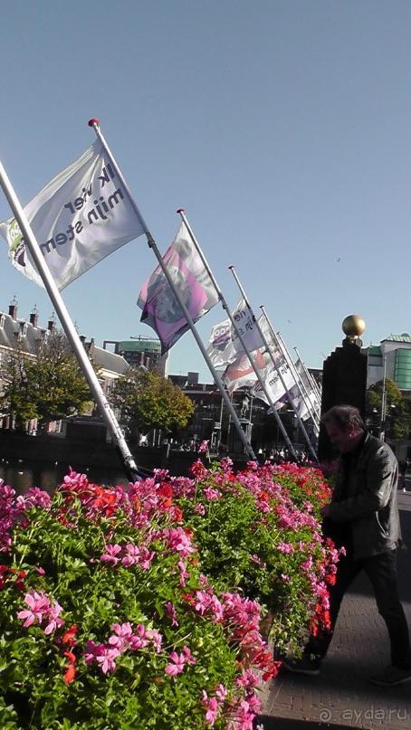 Гаага, Бельгия. «Гулять, так гулять!». Русский флер Гааги.