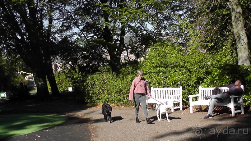 Гаага, Бельгия. «Гулять, так гулять!». Русский флер Гааги.