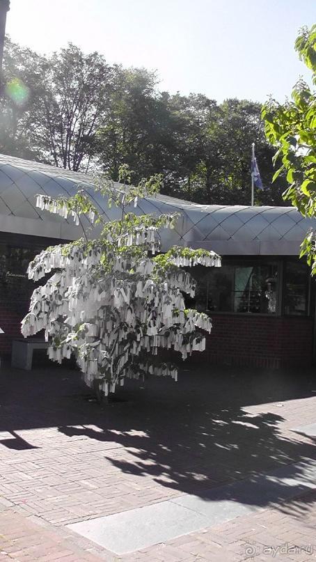 Гаага, Бельгия. «Гулять, так гулять!». Русский флер Гааги.