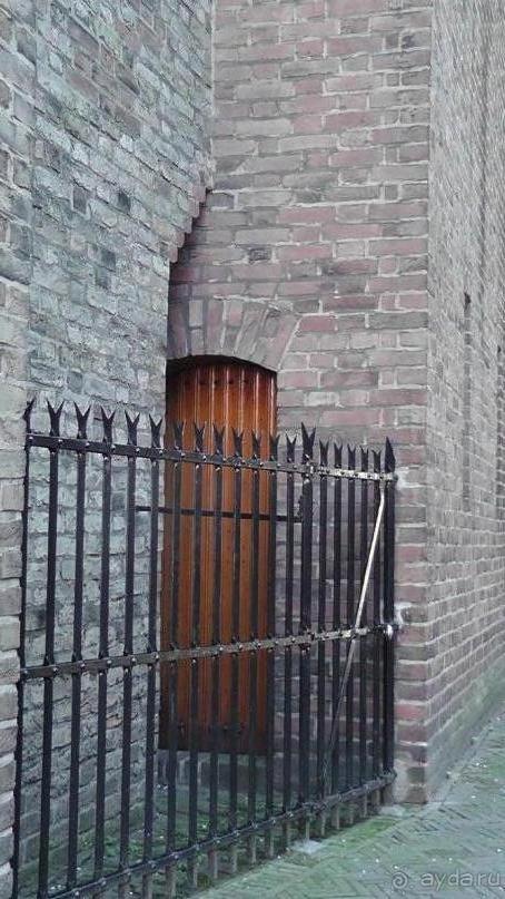 Гаага, Бельгия. «Гулять, так гулять!». Русский флер Гааги.