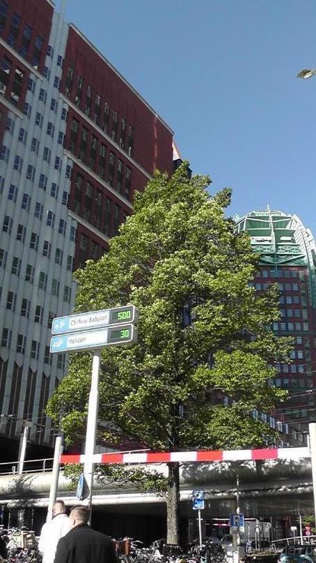 Гаага, Бельгия. «Гулять, так гулять!». Русский флер Гааги.