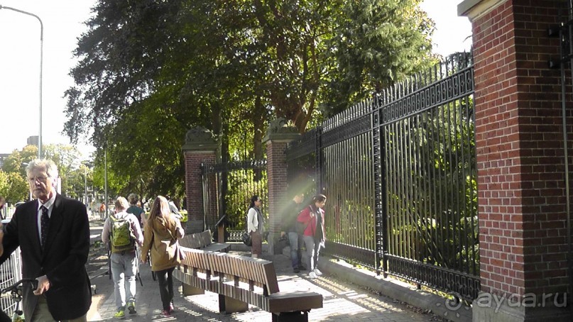 Гаага, Бельгия. «Гулять, так гулять!». Русский флер Гааги.