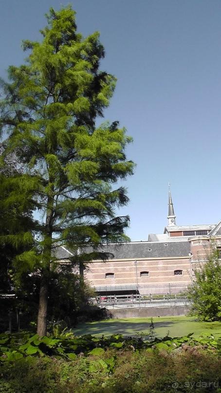 Гаага, Бельгия. «Гулять, так гулять!». Русский флер Гааги.