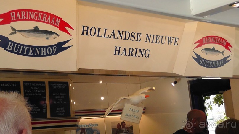 Гаага, Бельгия. «Гулять, так гулять!». Русский флер Гааги.