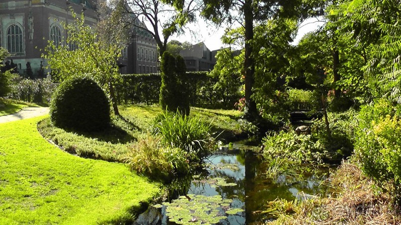 Гаага, Бельгия. «Гулять, так гулять!». Русский флер Гааги.
