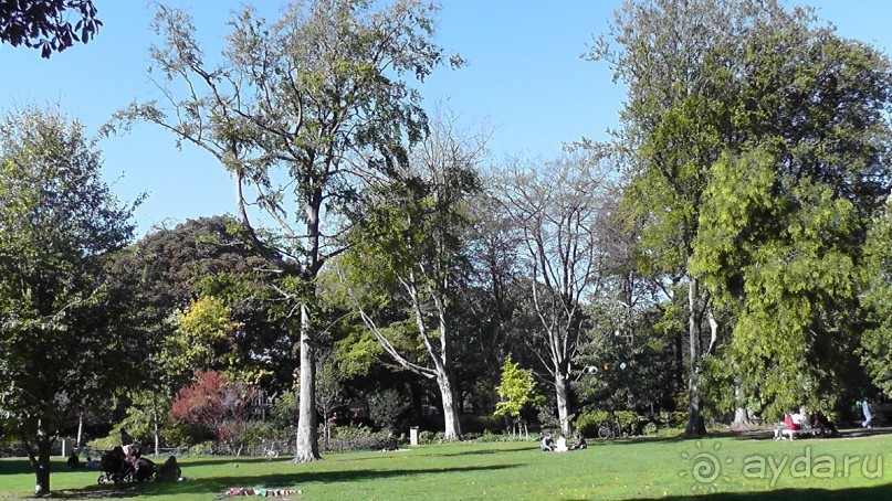 Гаага, Бельгия. «Гулять, так гулять!». Русский флер Гааги.