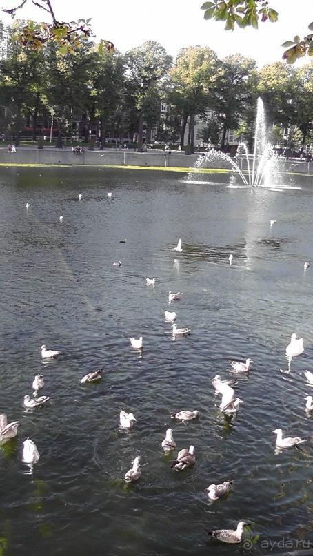 Гаага, Бельгия. «Гулять, так гулять!». Русский флер Гааги.