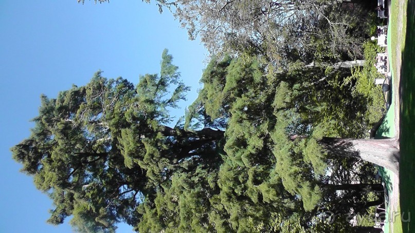 Гаага, Бельгия. «Гулять, так гулять!». Русский флер Гааги.