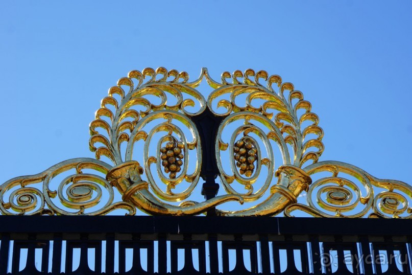 Гаага, Бельгия. «Гулять, так гулять!». Русский флер Гааги.