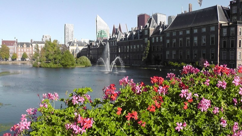 Гаага, Бельгия. «Гулять, так гулять!». Русский флер Гааги.