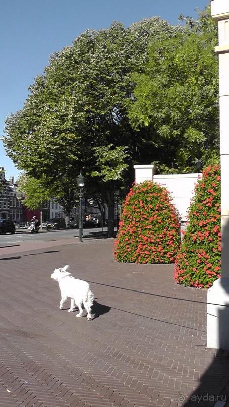 Гаага, Бельгия. «Гулять, так гулять!». Русский флер Гааги.