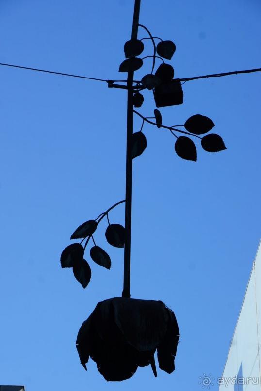 Гаага, Бельгия. «Гулять, так гулять!». Русский флер Гааги.