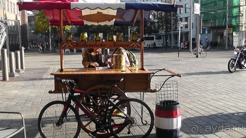 Гаага, Бельгия. «Гулять, так гулять!». Русский флер Гааги.