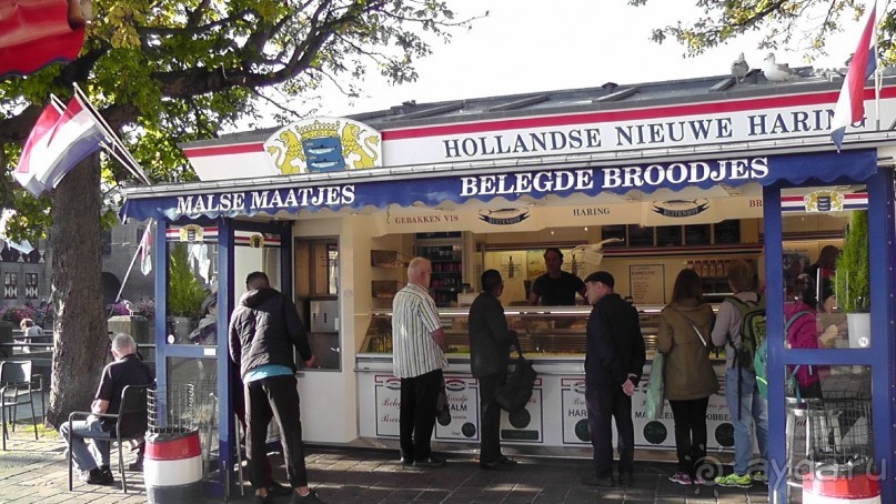 Гаага, Бельгия. «Гулять, так гулять!». Русский флер Гааги.