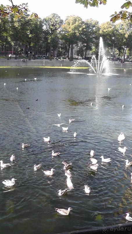 Гаага, Бельгия. «Гулять, так гулять!». Русский флер Гааги.