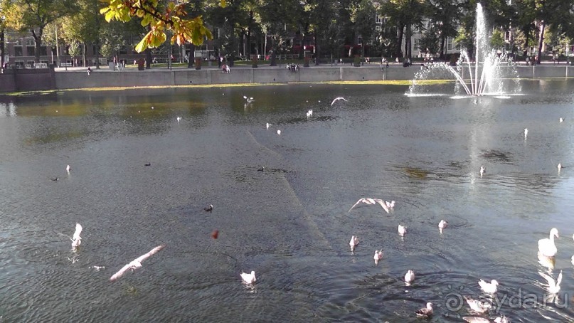 Гаага, Бельгия. «Гулять, так гулять!». Русский флер Гааги.