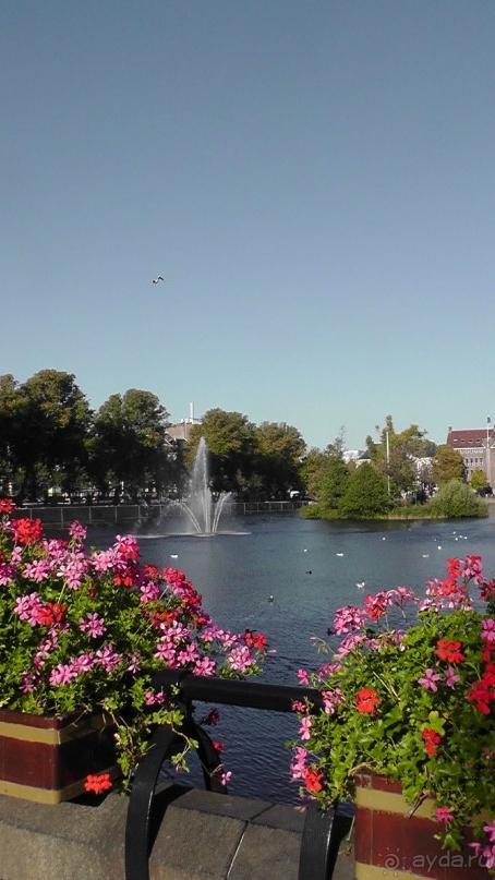 Гаага, Бельгия. «Гулять, так гулять!». Русский флер Гааги.