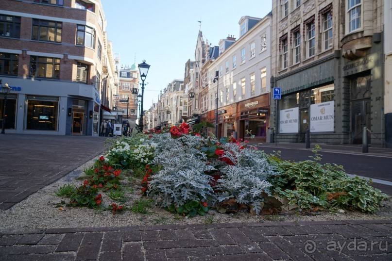 Гаага, Бельгия. «Гулять, так гулять!». Русский флер Гааги.
