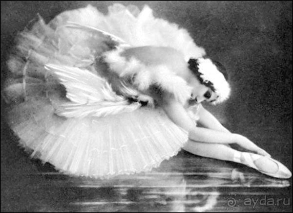 Гаага, Бельгия. «Гулять, так гулять!». Русский флер Гааги.