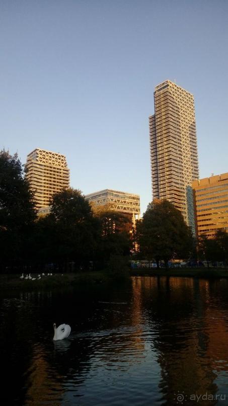 Гаага, Бельгия. «Гулять, так гулять!». Русский флер Гааги.