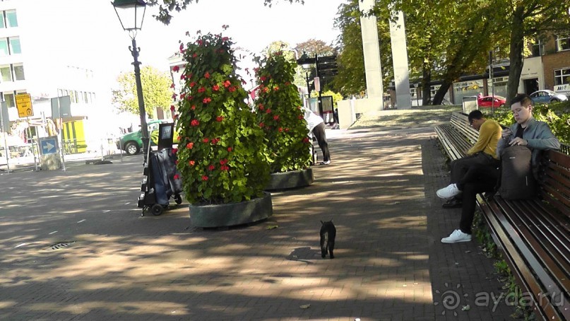 Гаага, Бельгия. «Гулять, так гулять!». Русский флер Гааги.