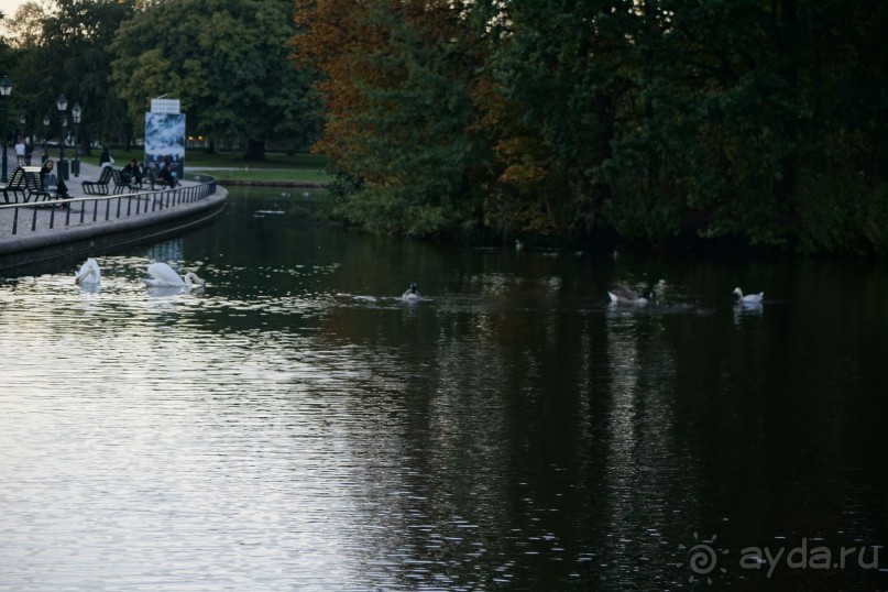 Гаага, Бельгия. «Гулять, так гулять!». Русский флер Гааги.