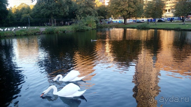 Гаага, Бельгия. «Гулять, так гулять!». Русский флер Гааги.