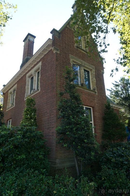 Гаага, Бельгия. «Гулять, так гулять!». Русский флер Гааги.