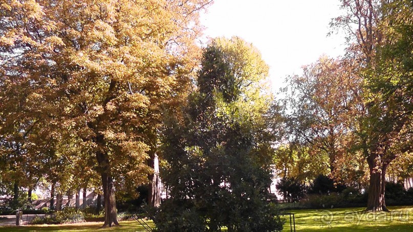 Гаага, Бельгия. «Гулять, так гулять!». Русский флер Гааги.