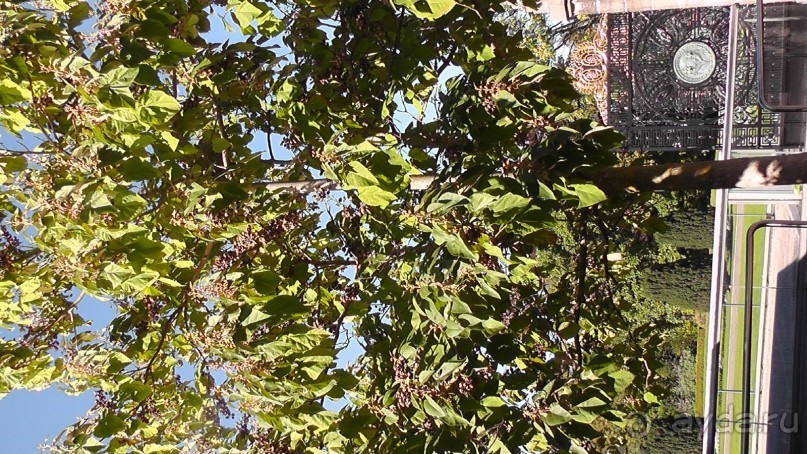 Гаага, Бельгия. «Гулять, так гулять!». Русский флер Гааги.