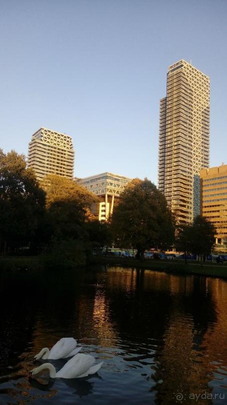 Гаага, Бельгия. «Гулять, так гулять!». Русский флер Гааги.