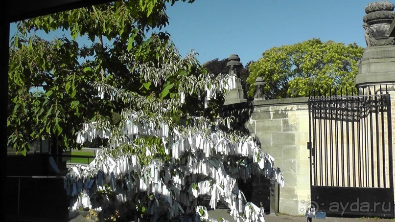 Гаага, Бельгия. «Гулять, так гулять!». Русский флер Гааги.