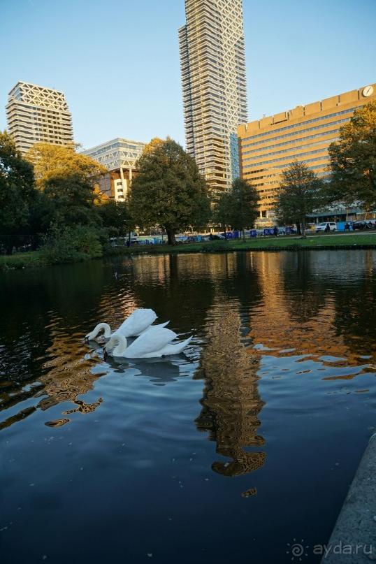 Гаага, Бельгия. «Гулять, так гулять!». Русский флер Гааги.