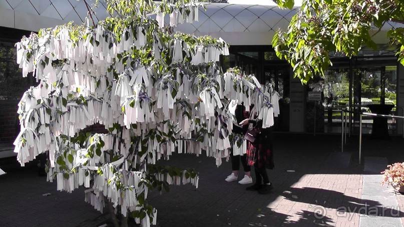 Гаага, Бельгия. «Гулять, так гулять!». Русский флер Гааги.
