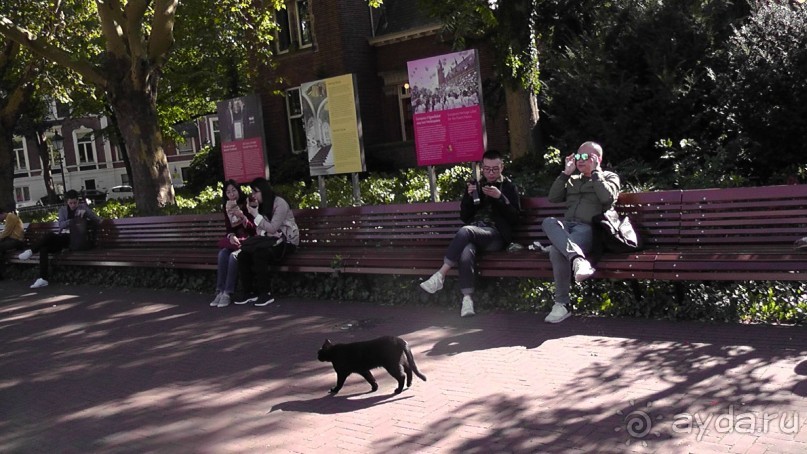 Гаага, Бельгия. «Гулять, так гулять!». Русский флер Гааги.