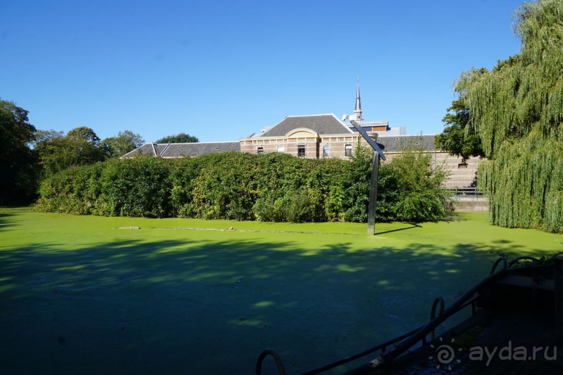 Гаага, Бельгия. «Гулять, так гулять!». Русский флер Гааги.