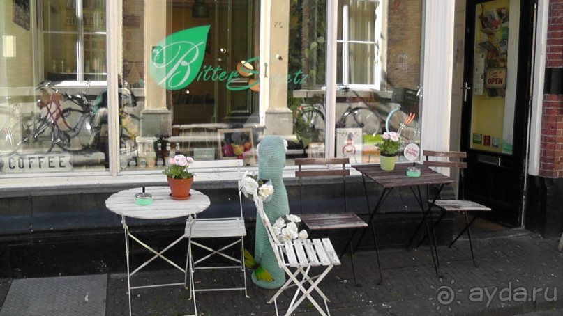 Гаага, Бельгия. «Гулять, так гулять!». Русский флер Гааги.