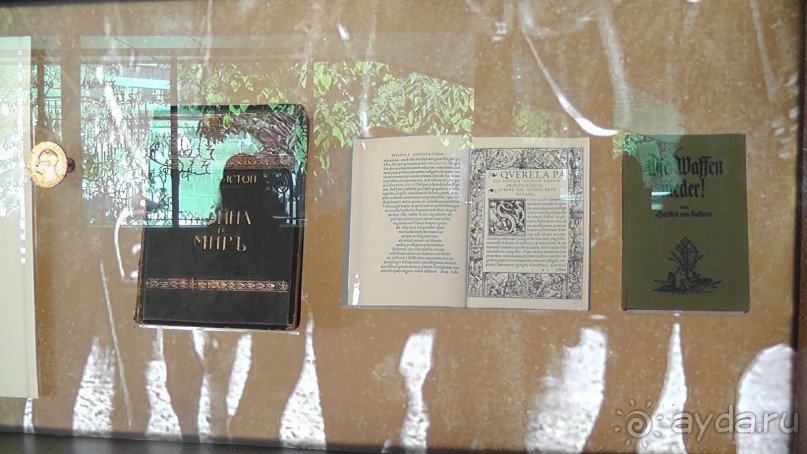 Гаага, Бельгия. «Гулять, так гулять!». Русский флер Гааги.